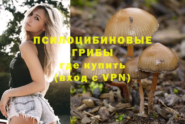 PSILOCYBIN Братск