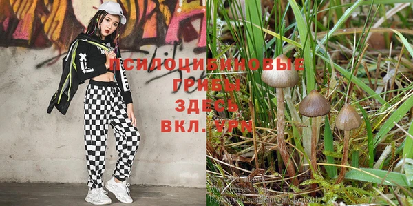 мдпв Горно-Алтайск