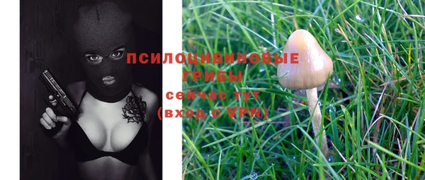 мет Горнозаводск
