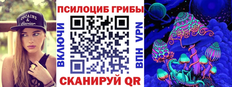 где купить наркоту  площадка какой сайт  Псилоцибиновые грибы Psilocybe  Грязовец 